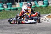 20110501_ales_agnus (2939)